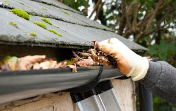 gutter cleaning Colwell